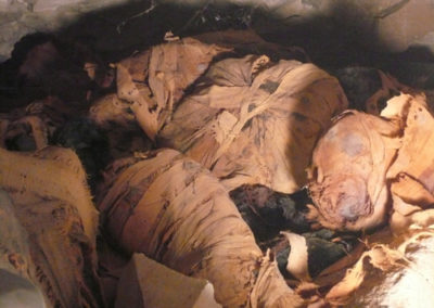 Gallery of Bird Mummies under the tomb -399