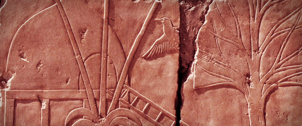 Relieve de un poblado del país de Punt.Templo de Deir el-Bahari