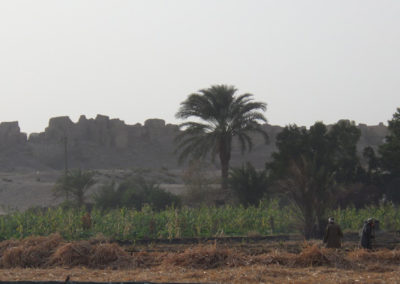 Faena agrícola junto al templo de Medinet Habu.