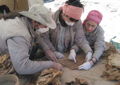 Gude, Marisol y Curro trabajan en equipo en la revisión y gestión de los materiales hallados.