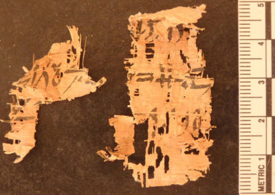 Pequeño fragmento de un papiro escrito en hierático
