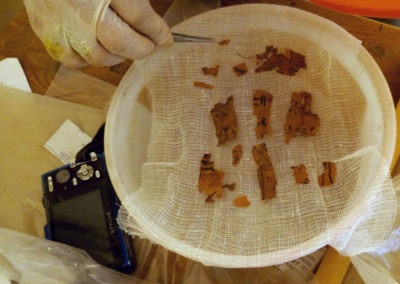Fragmentitos de papiro recuperados por Ibrahim en el pozo del mudir.
