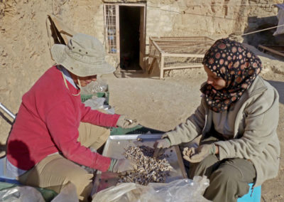 Salima y Sahra clasifican huesecillos de ave.