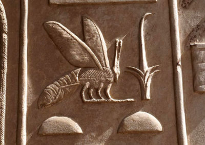 ”El rey del Alto y del Bajo Egipto” escrito en la capilla blanca de Sesostis.