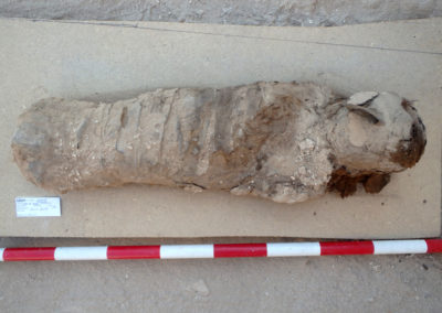 Otra momia de época romana hallada en el área de excavación de Cisco.