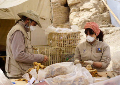 Curro y Marisol revisan material de la excavación.