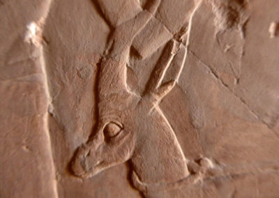 Detalle de una gacela que forma parte de una procesión de ofrendas para el ka de Hery y su madre Ahmose.