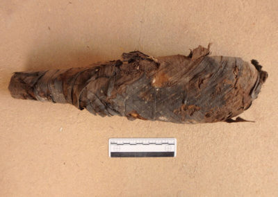 Momia de halcón, probablemente del siglo II a. C., también hallada por Cisco.