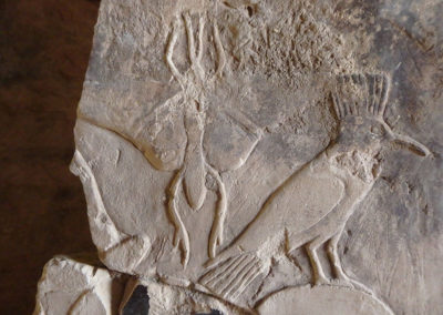Detalle de una mariposa tallada en la pared derecha de la tumba de Hery.