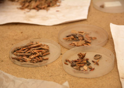 Restos de tallos de cereal que testimonian ofrendas de espigas en la capilla de adobe.