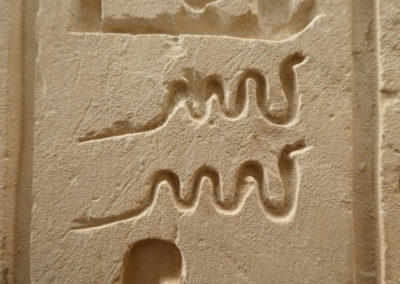 Detalle de un signo jeroglífico de un himno en escritura criptográfica de la tumba de Djehuty.