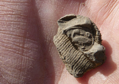 Impronta de sello sobre una pella de barro, hallada en el área de David.