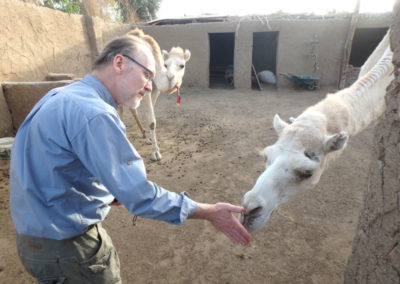 Neal visita a los camellos de Klaus junto al hotel Marsam.