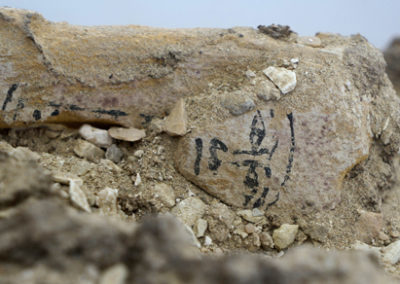 Rostro de la figurilla (shabti) dentro del modelo de ataúd, perteneciente a un dignatario llamado Ahmose.