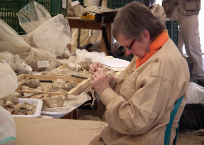 Roxie retoma el análisis de los restos humanos hallados en los pozos del Sector 10.