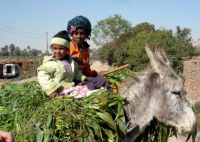 Niños en burro junto al Nilo.