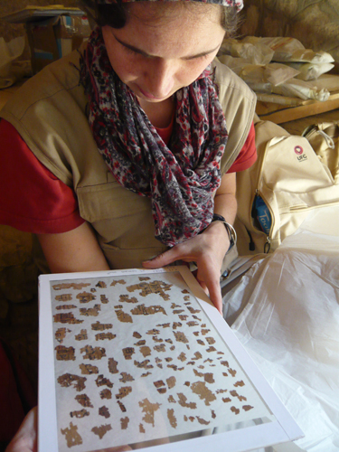 Lucía echa un primer vistazo a los fragmentos de papiro que recogimos en el pozo funerario de la tumba intermedia.