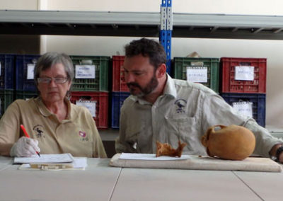 Roxie revisa algunos restos humanos guardados en el almacén del Servicio de Antigüedades.