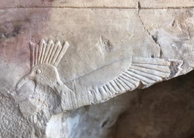 Abubilla en vuelo en la tumba-capilla de Hery