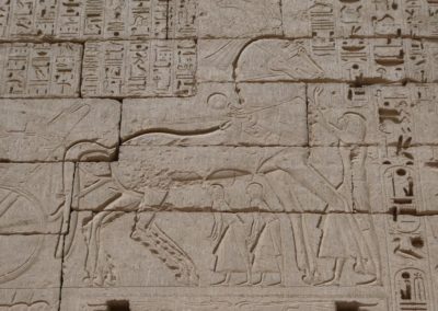 Atendiendo a la pareja de caballos de Ramsés III.