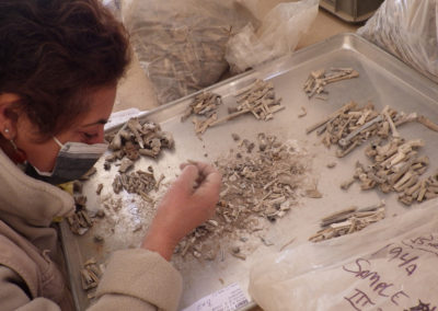 Salima analiza huesos de aves que fueron momificadas.