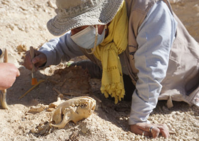 Excavación meticulosa de la "momia" del perro en la zona de Angie.