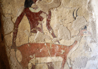 Hombre llevando a una gacela viva representado en la tumba de Ankhtifi.