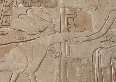 La diosa Hathor en forma de vaca lame con ternura la mano de Hatshepsut.