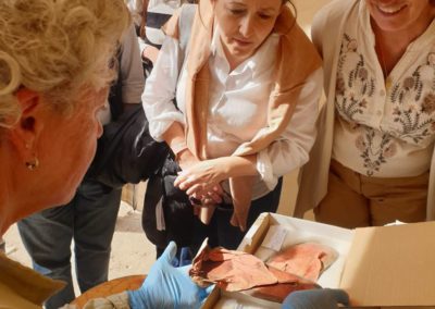 Eloísa del Pino, Presidenta del CSIC, viendo las sandalias de cuero halladas en uno de los pozos funerarios del yacimiento algunos años atrás.