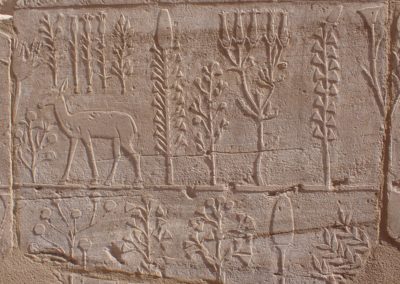 El gabinete de curiosidades del templo de Tutmosis III en Karnak.