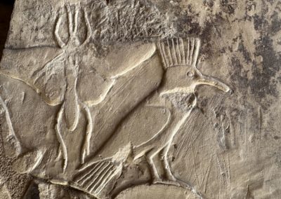 Relieves con detalles de la fauna en el antiguo Egipto