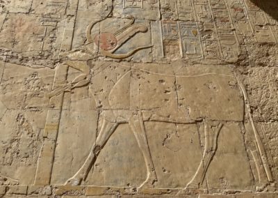 La diosa Hathor con forma de vaca lame la mano del soberano en el templo de Hatshepsut en Deir el-Bahari